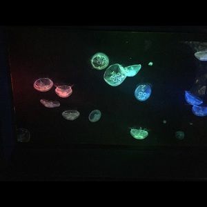 Meet your Posher, Larissa